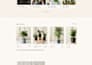 design ecommerce website and build wordpress ecommerce online store
